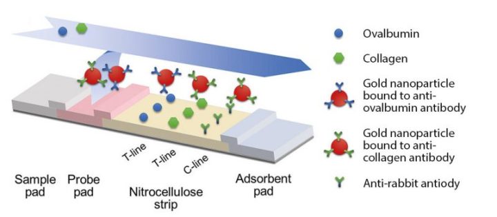 Biosensor mechanism