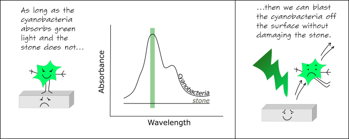 cyanobacteria cartoon